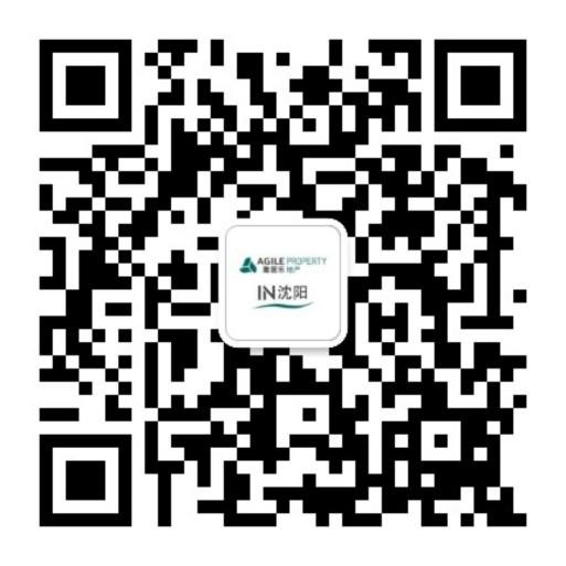 沈阳DB视讯盛京雅府