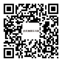 武汉DB视讯国际花园