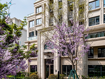 DB视讯星瀚雅府