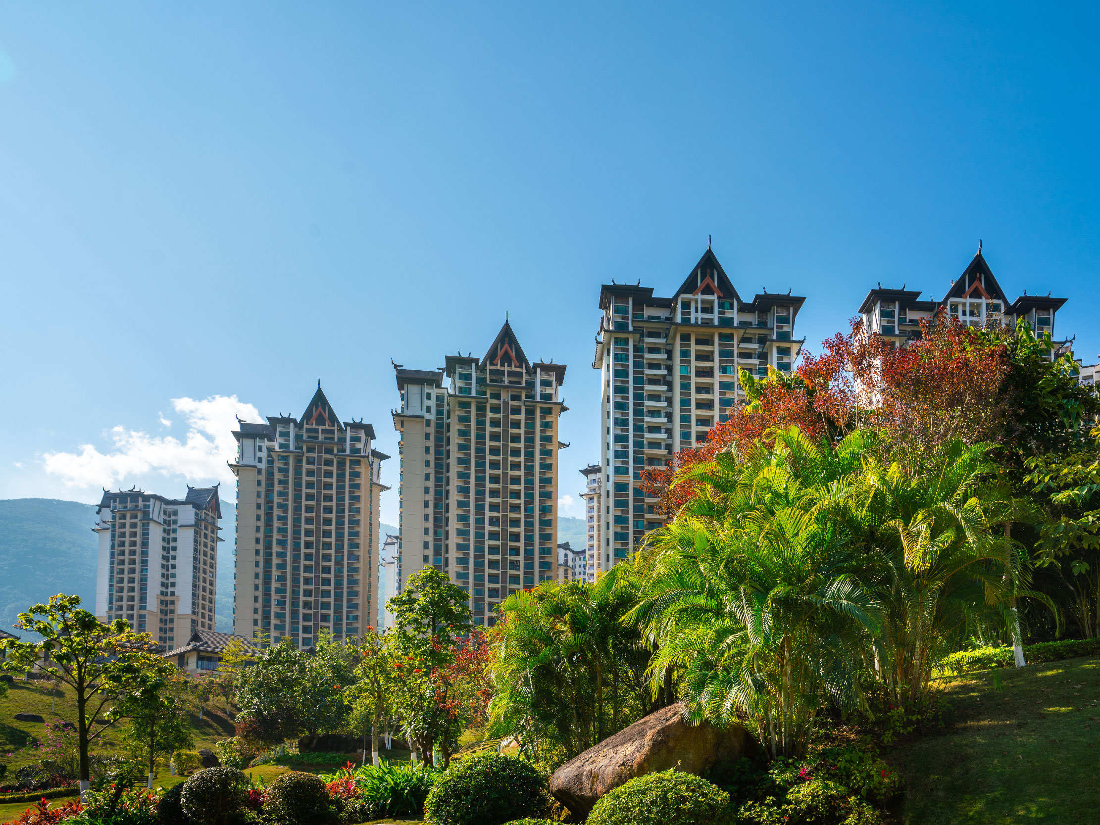 DB视讯西双林语