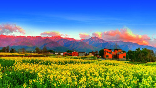 1481535813338506.jpg 这片海4.jpg