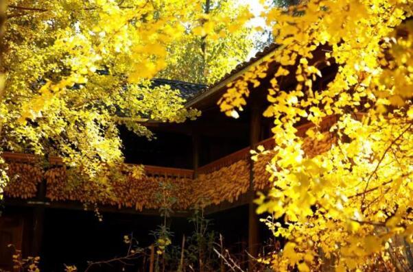 在最美的季节遇见你 DB视讯“上山下海”体验行