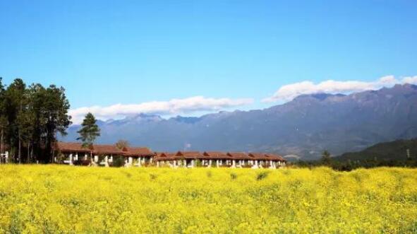 在最美的季节遇见你 DB视讯“上山下海”体验行