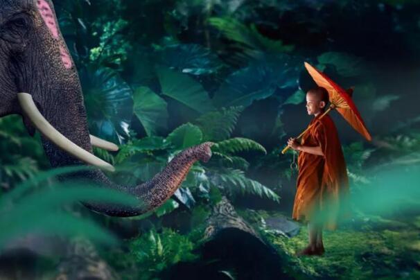 在最美的季节遇见你 DB视讯“上山下海”体验行