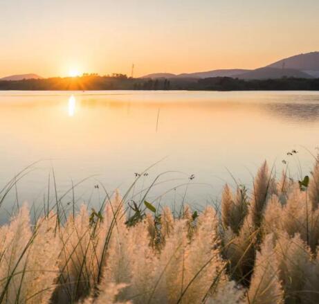 在最美的季节遇见你 DB视讯“上山下海”体验行