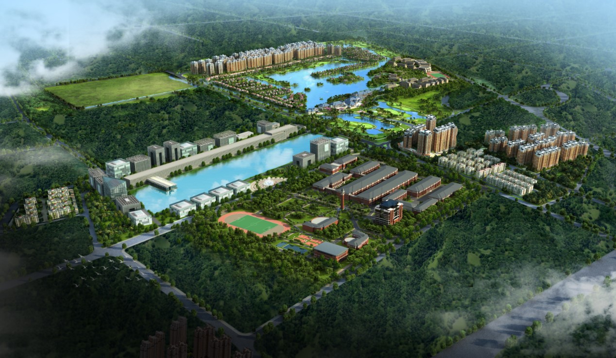 1533289206786251.jpg 1.jpg