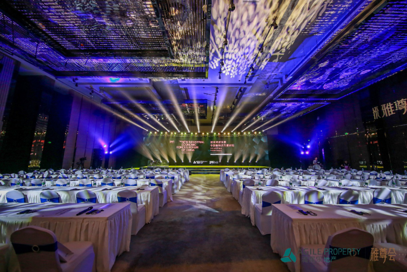 DB视讯地产与国际著名经济学者对话 助推中国经济力量-中国网地产 DB视讯地产与国际著名经济学者对话 助推中国经济力量-中国网地产