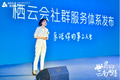 DB视讯地产云南品牌发布会 DB视讯地产云南品牌发布会